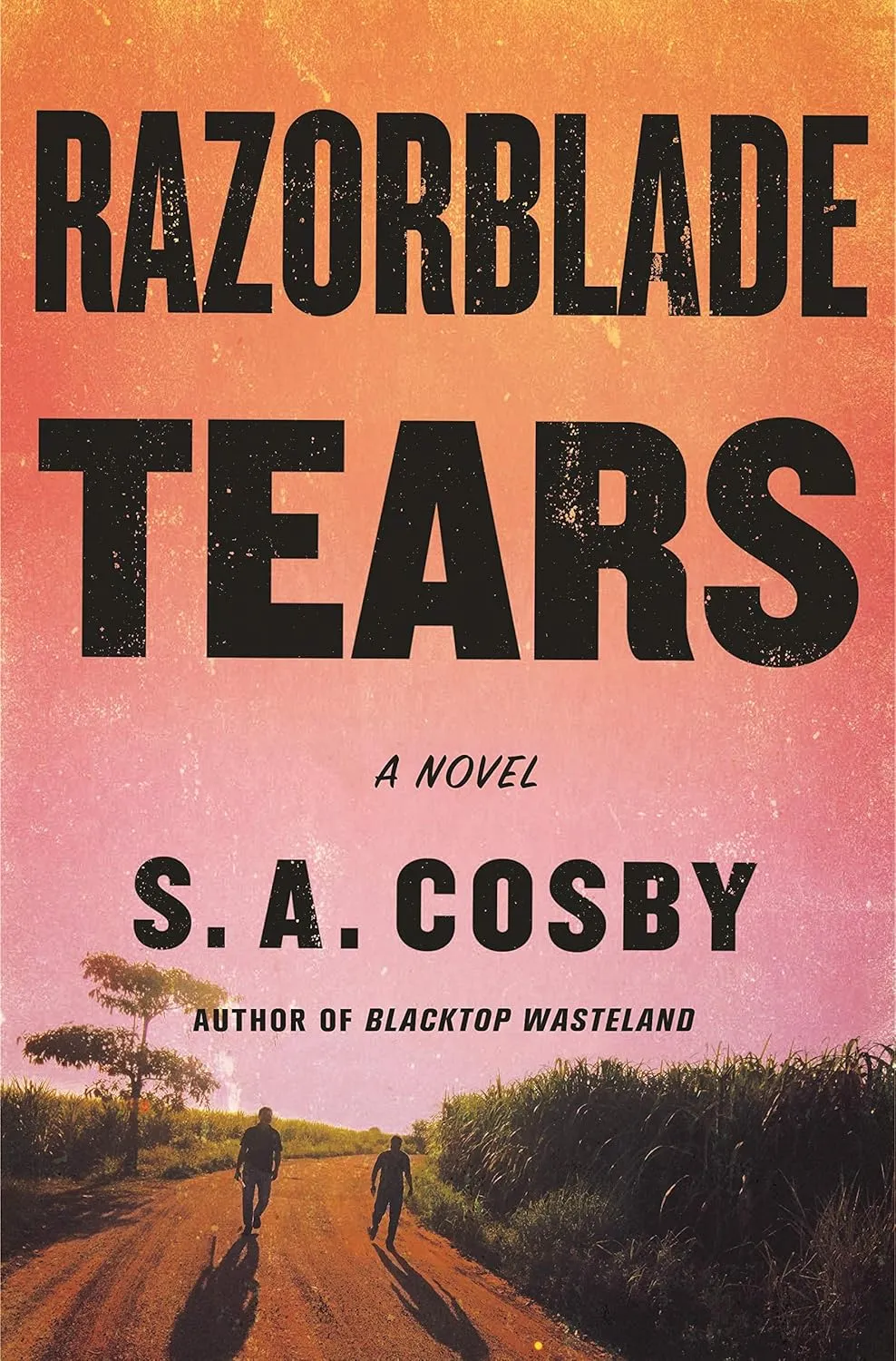 Razorblade Tears Paperback  April 5, 2022